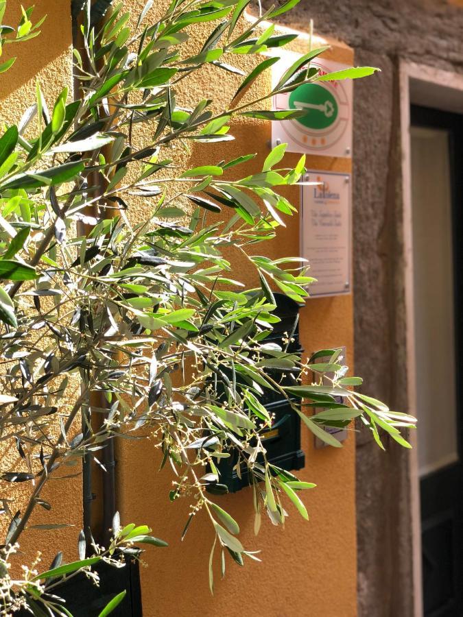 La Polena Camere Vernazza - Suite Vista Mare Exterior foto